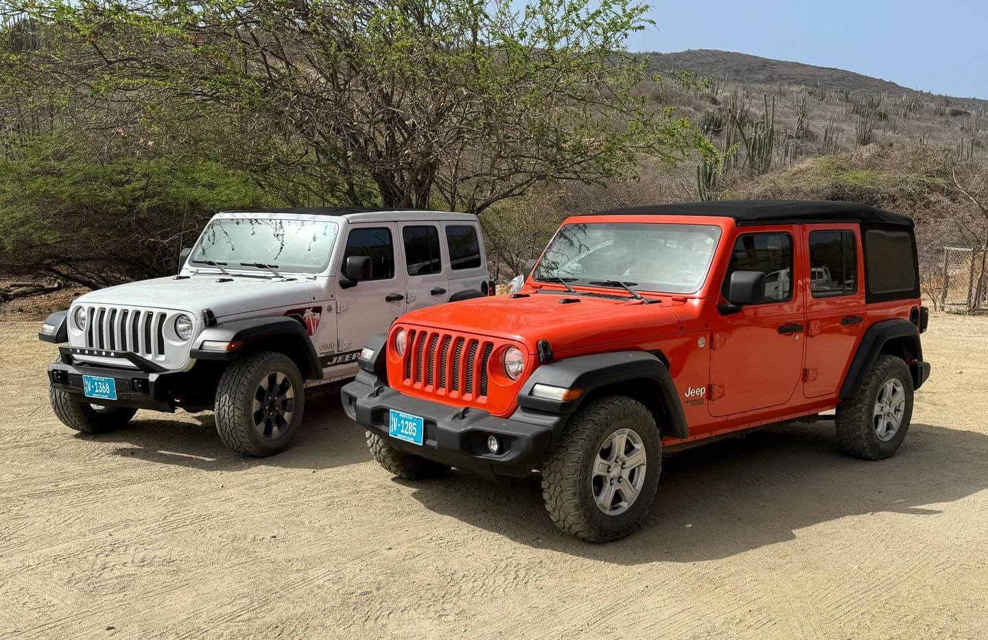 OSO ARUBA JEEP TOURS