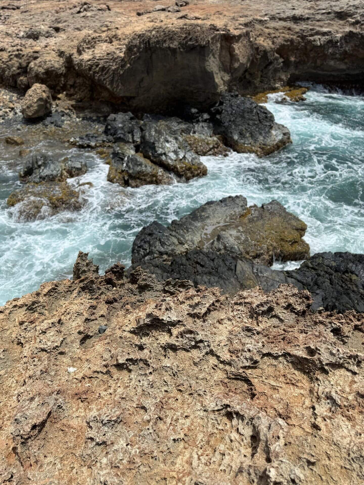 OSO ARUBA JEEP TOURS