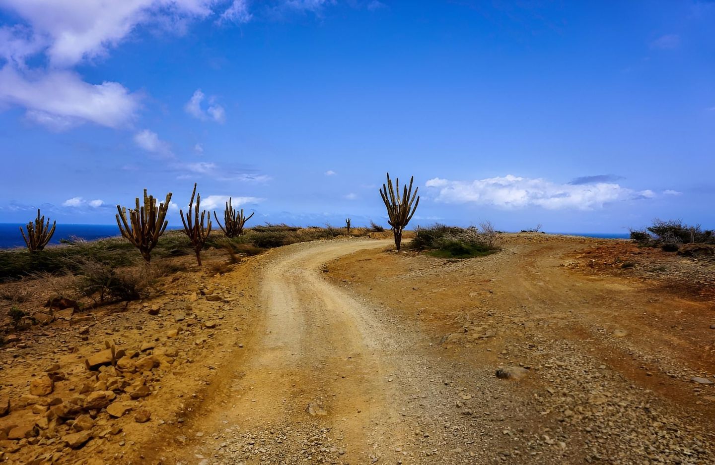 OSO ARUBA JEEP TOURS